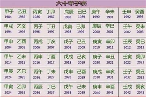 2010年生肖五行